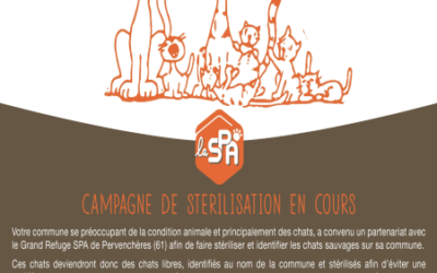 Campagne de stérilisation en cours à Préaux